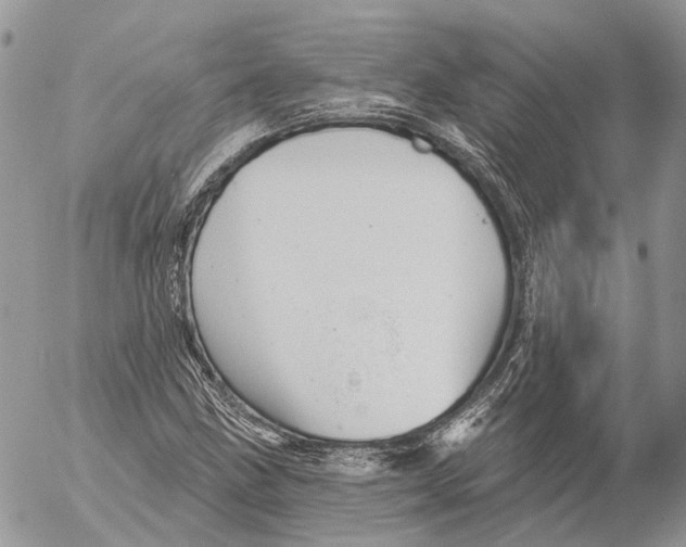 X0000053081211200508081236