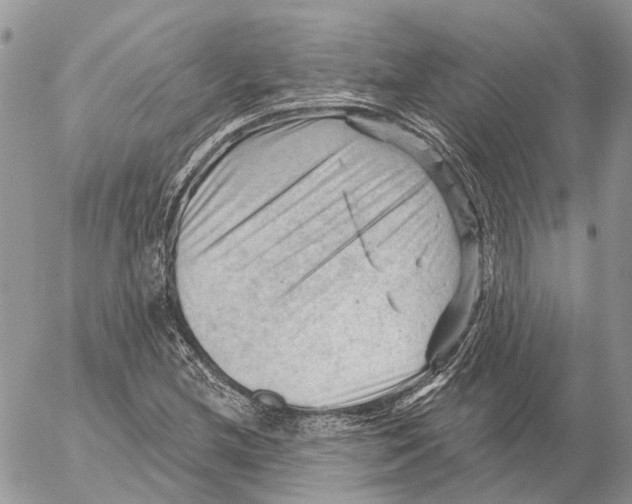 X0000053081212200508081237