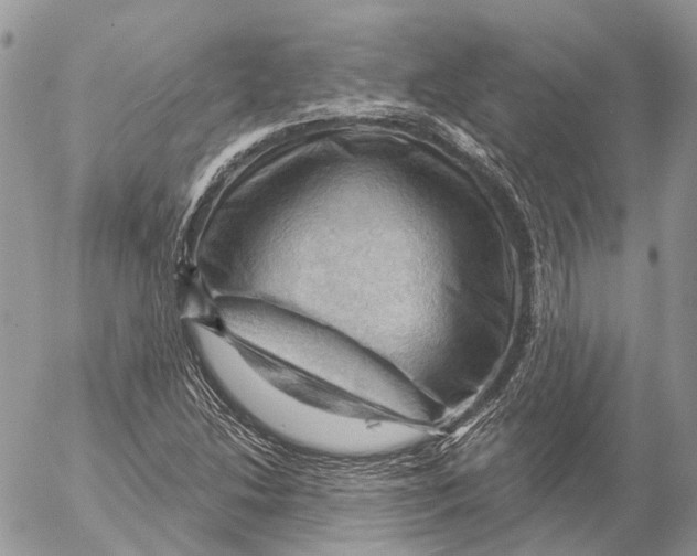 X0000053081214200508081237