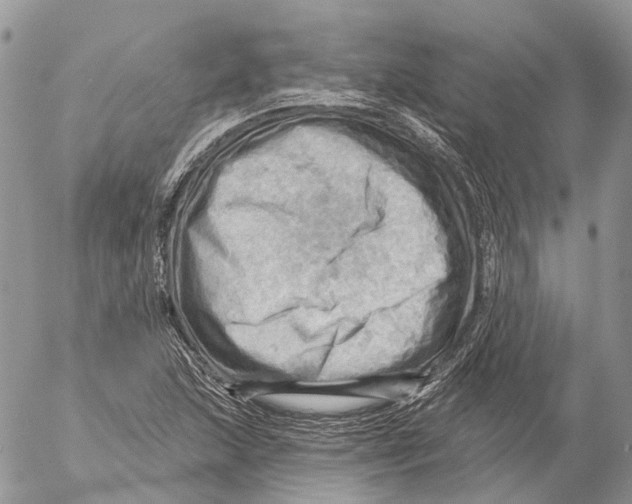 X0000053081215200508081237