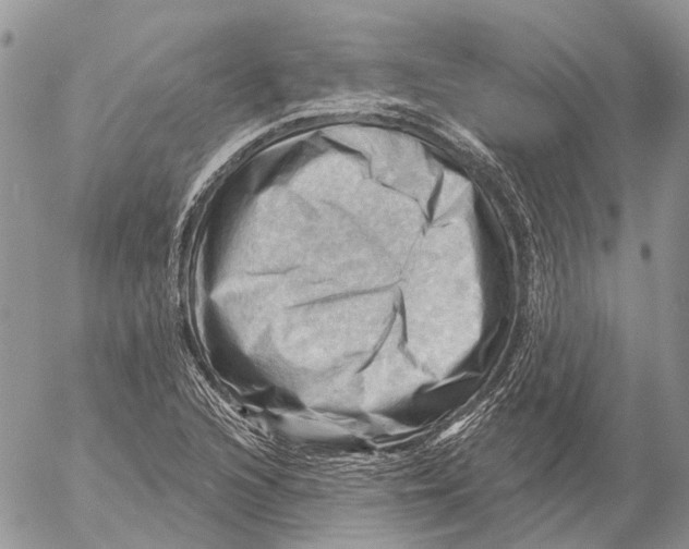 X0000053081216200508081237