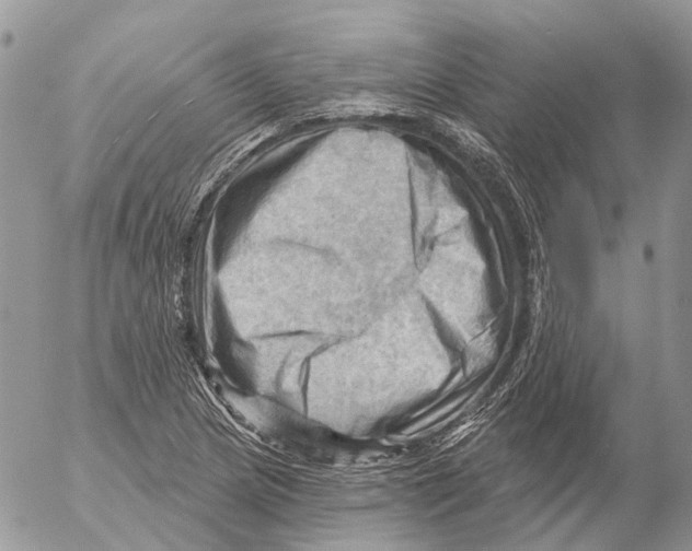 X0000053081217200508081237