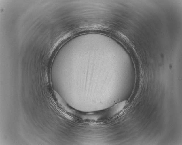 X0000053081218200508081237