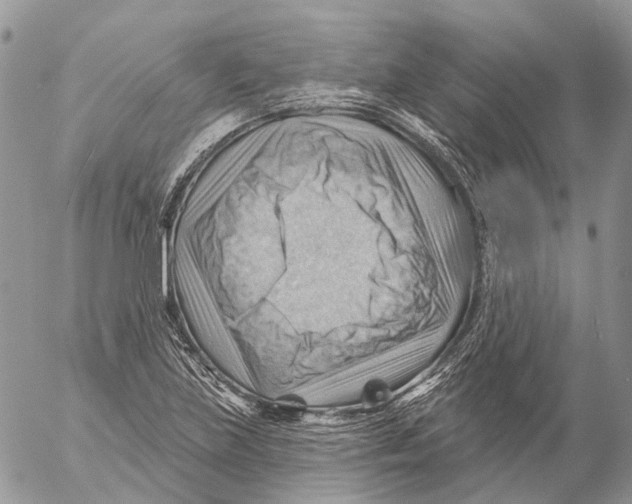 X0000053081219200508081237