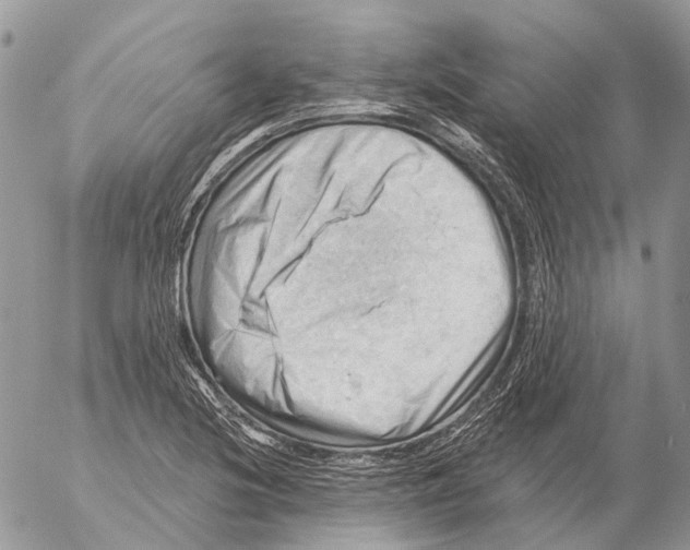 X0000053081220200508081237