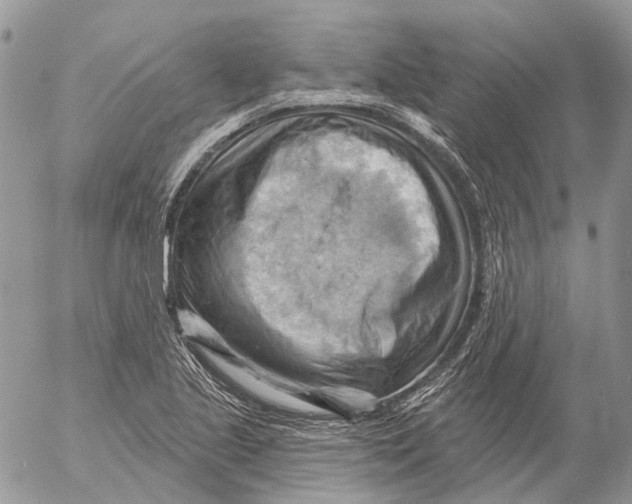 X0000053081221200508081237