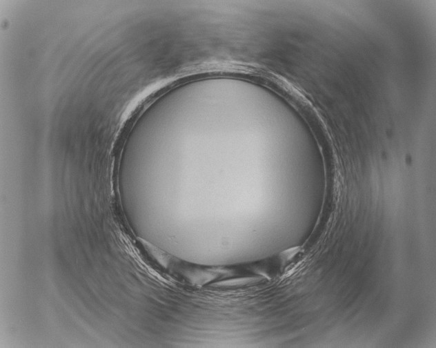 X0000053081222200508081237