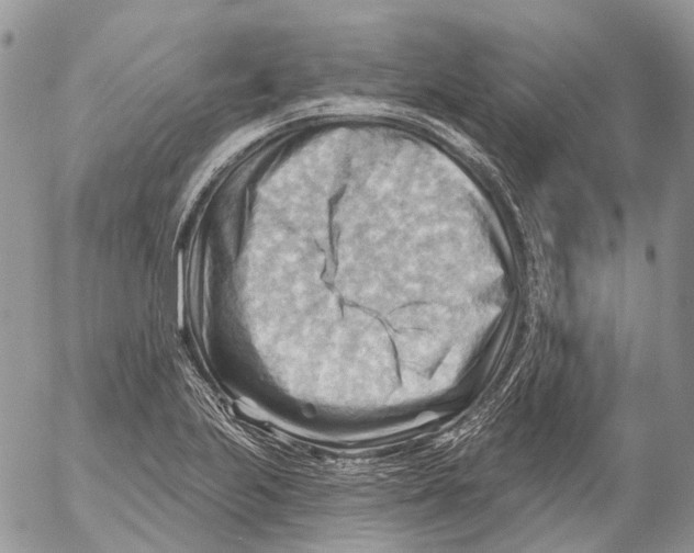 X0000053081223200508081237