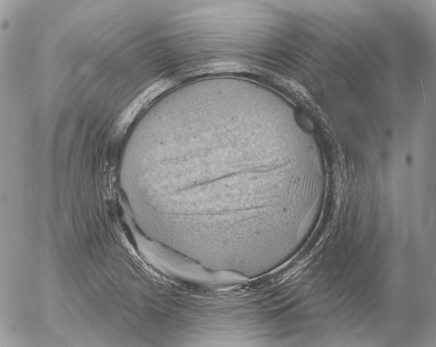 X0000053081225200508081237