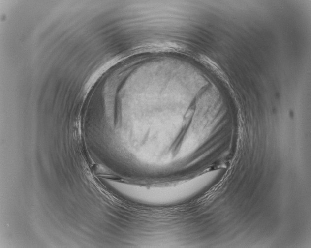 X0000053081226200508081237