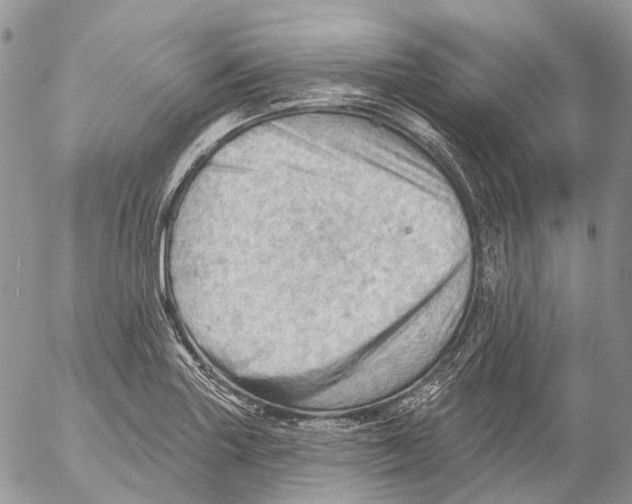 X0000053081227200508081237