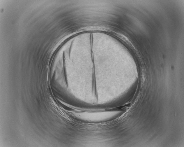 X0000053081228200508081237