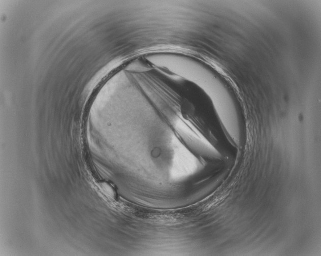 X0000053081229200508081237