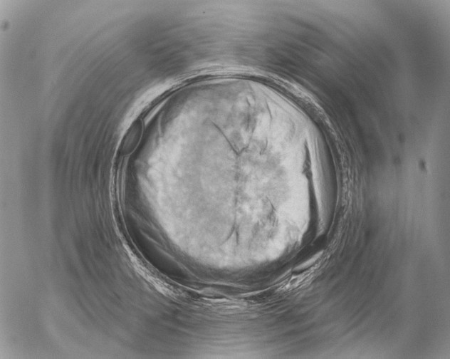 X0000053081231200508081237