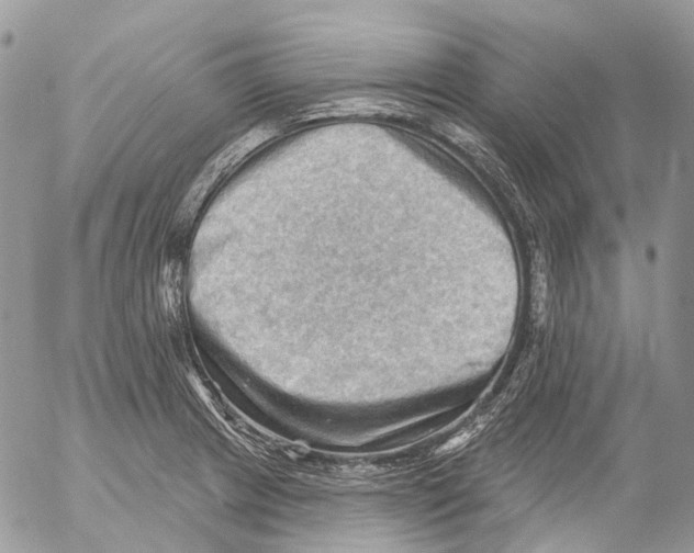 X0000053081233200508081237