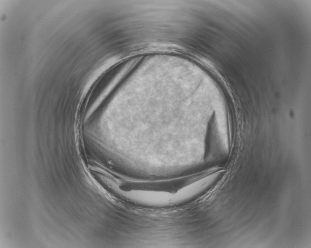 X0000053081235200508081237