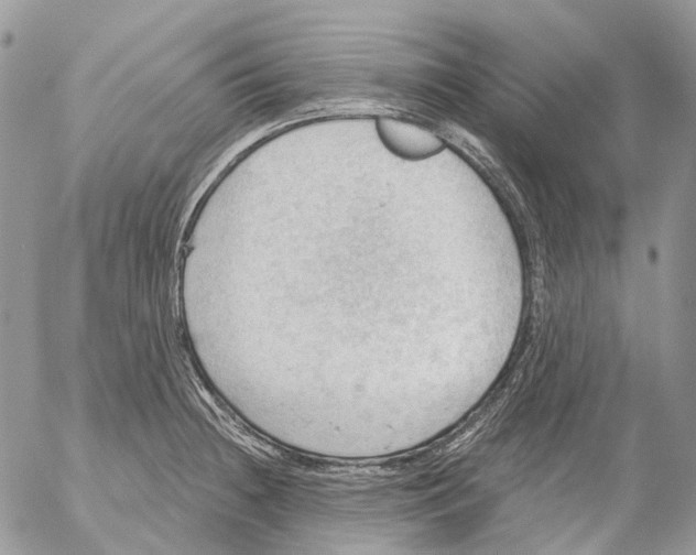 X0000053081236200508081237