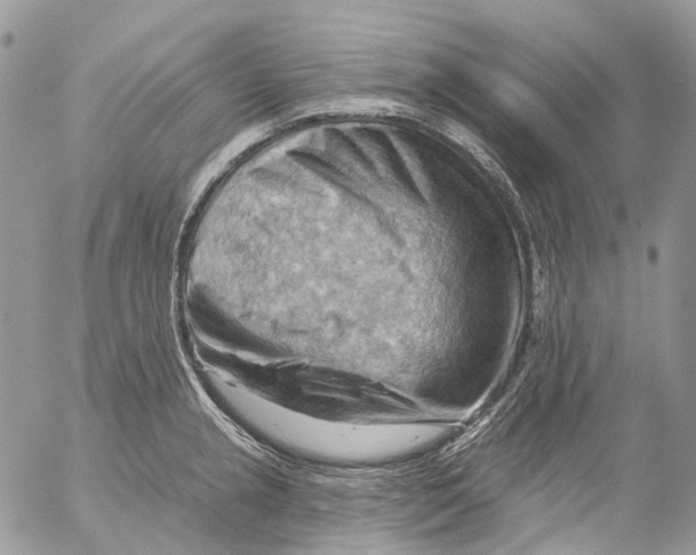 X0000053081237200508081237