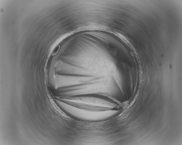 X0000053081238200508081237