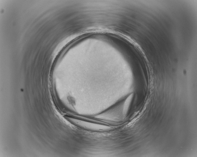 X0000053081239200508081237