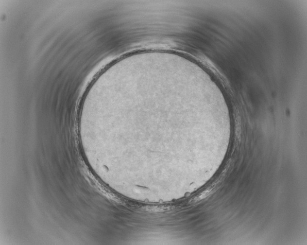 X0000053081240200508081237