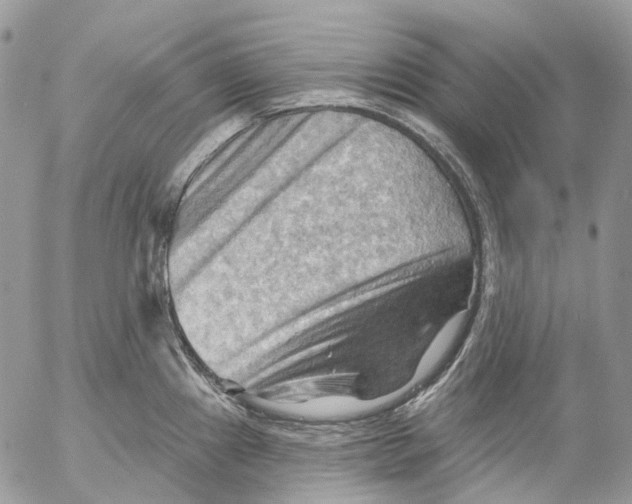 X0000053081241200508081237