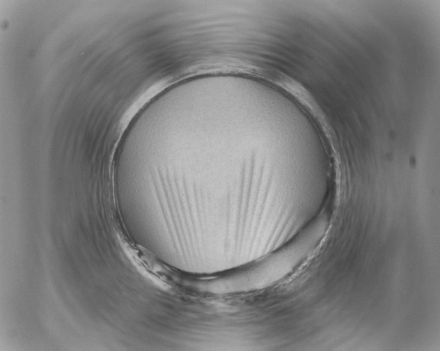 X0000053081242200508081237