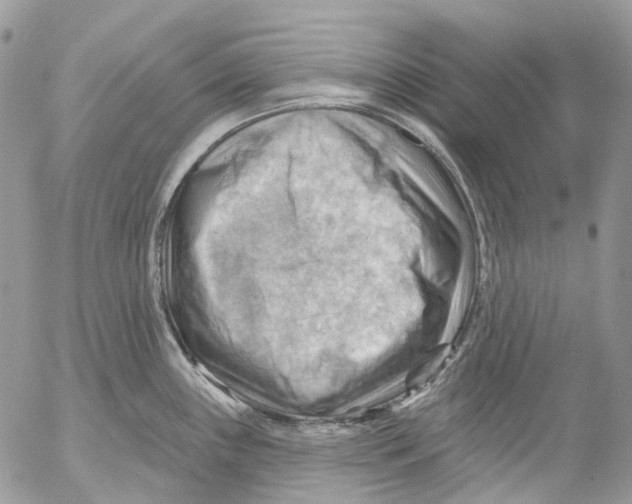 X0000053081243200508081237