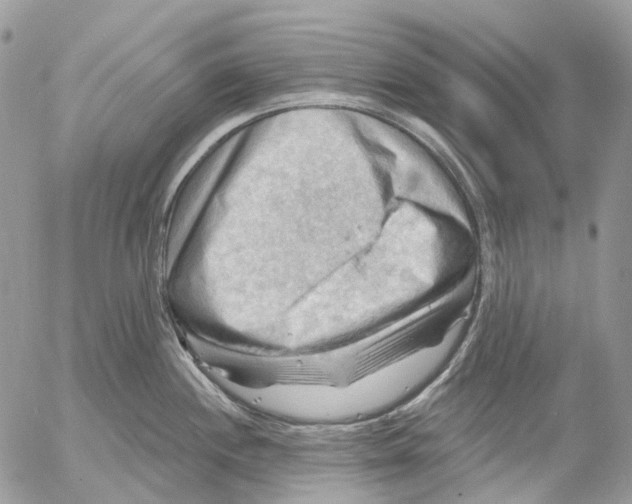 X0000053081244200508081237