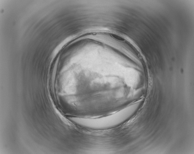 X0000053081245200508081237