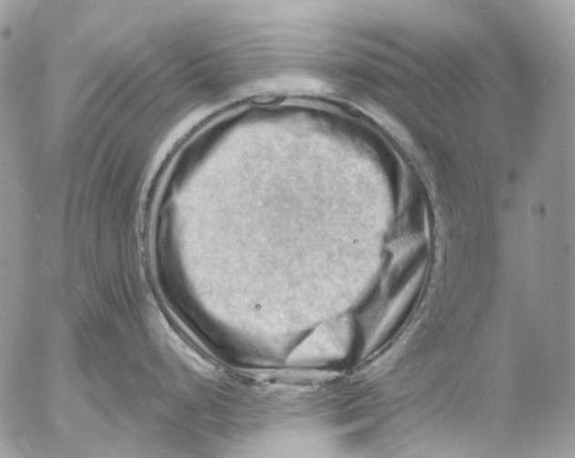 X0000053081248200508081237