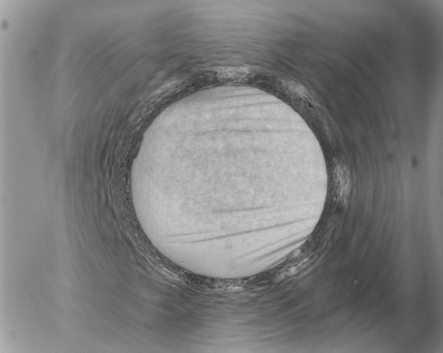 X0000053081249200508081236