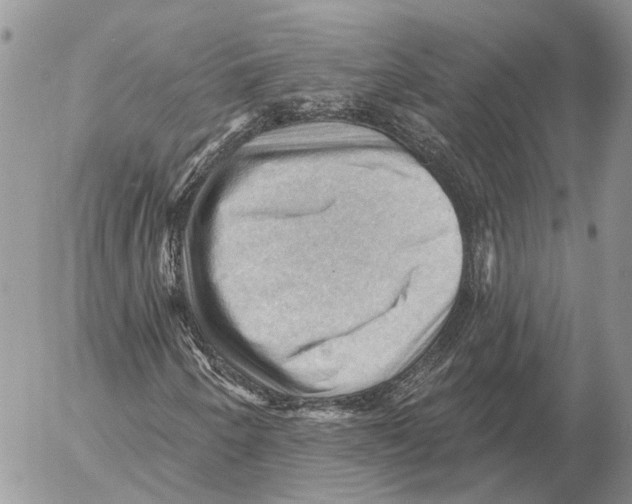 X0000053081250200508081236