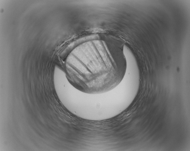 X0000053081251200508081236