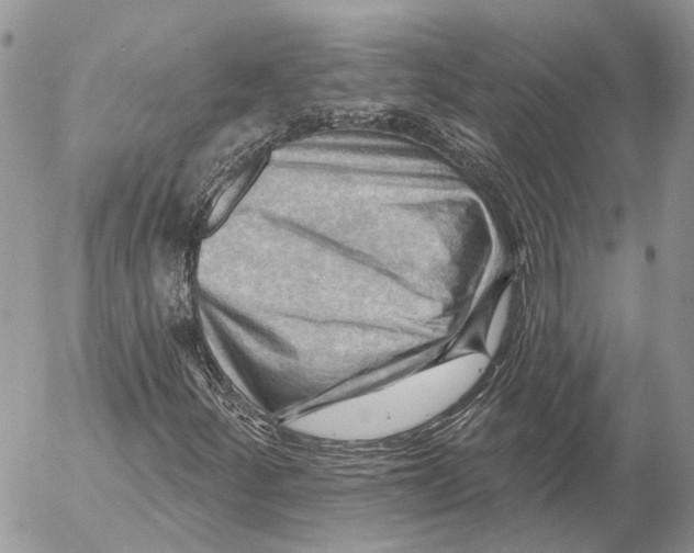 X0000053081252200508081236