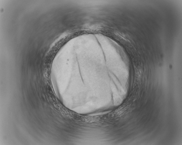 X0000053081254200508081236