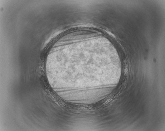 X0000053081255200508081236