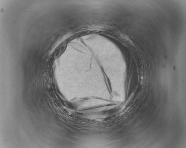 X0000053081256200508081236