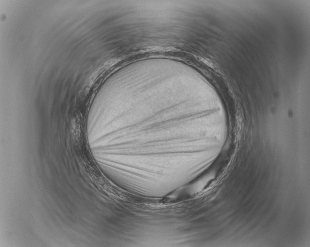 X0000053081257200508081236