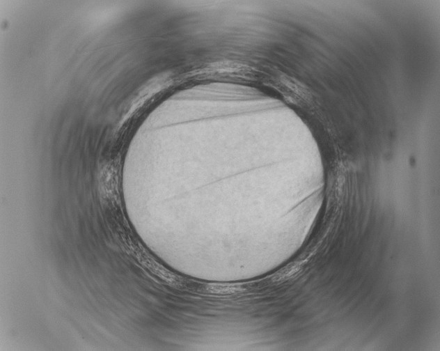 X0000053081258200508081236