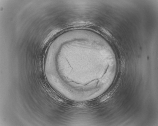 X0000053081259200508081236