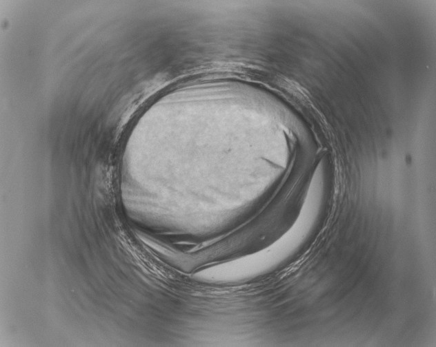 X0000053081260200508081236