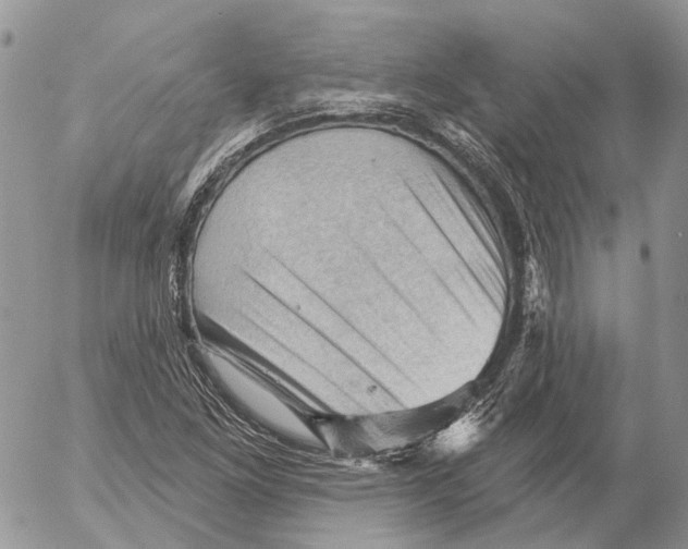 X0000053081261200508081236