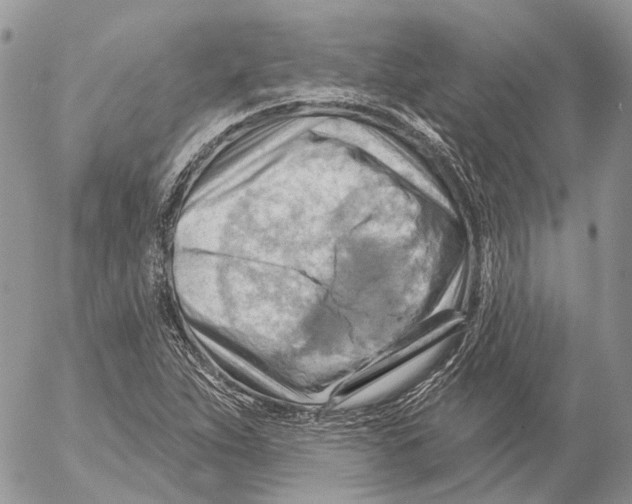 X0000053081263200508081236