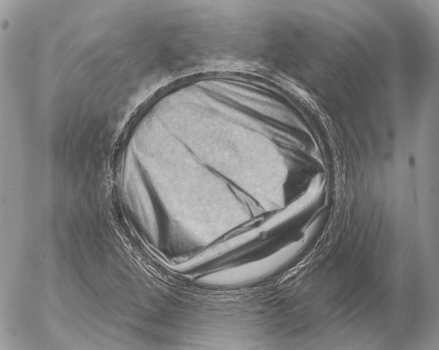 X0000053081264200508081236