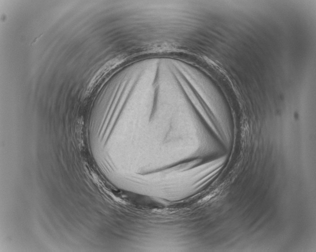 X0000053081265200508081236