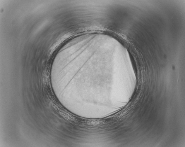 X0000053081266200508081236