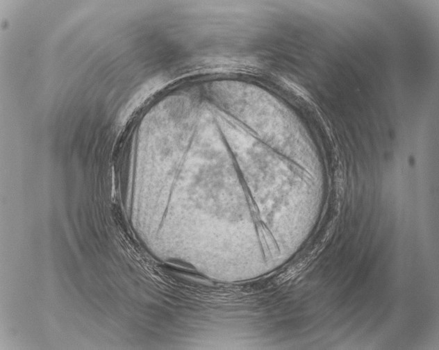 X0000053081267200508081236