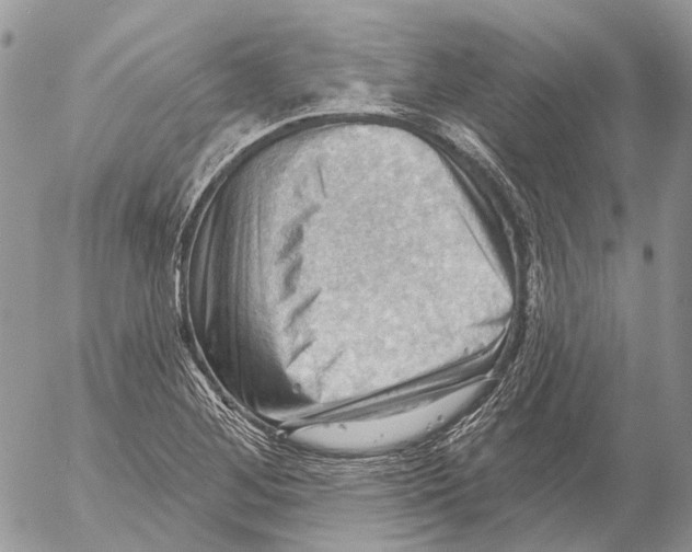 X0000053081268200508081236