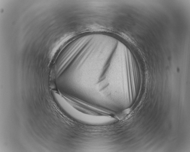 X0000053081269200508081236